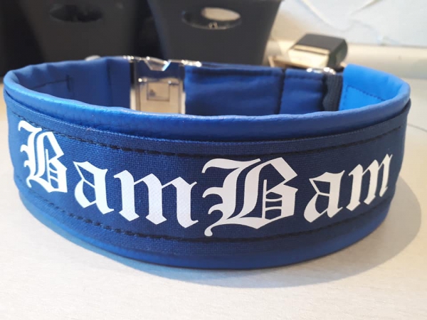 Namenshalsband Wunschtext Hundehalsband blau weiß