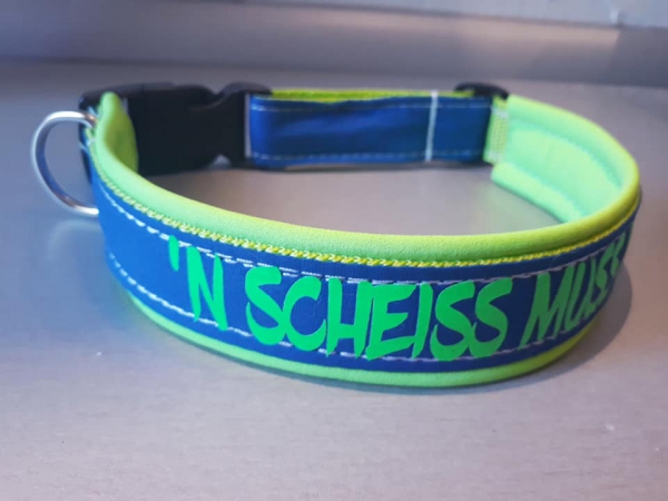 Personalisiertes Hundehalsband grün/blau mit Softshell Polsterung