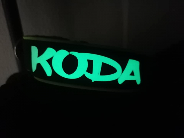Wunschtext Halsband Glow in the Dark Leuchthalsband mit Polsterung