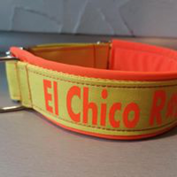 Hundehalsband personalisiert gelb orange