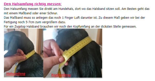 Wunschtext Hundehalsband personalisiert schwarz/ pink mit Polsterung
