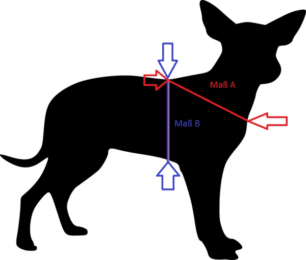 Hundegeschirr, Führgeschirr Strassoptik gold