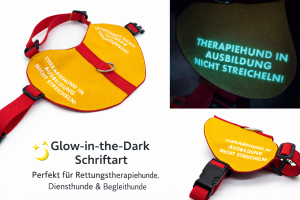 Kenndecke / Sattelgeschirr