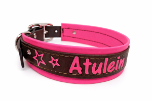 Biothane Hundehalsband Dunkelbraun-Neonpink / personalisiert & handgefertigt